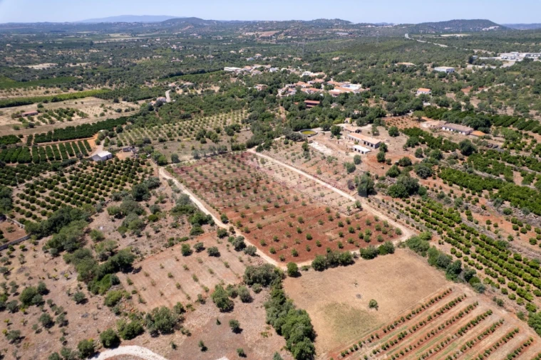 Quinta T5 para Venda em São Bartolomeu de Messines Foto 5