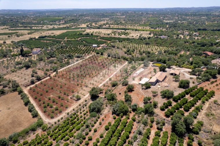 Quinta T5 para Venda em São Bartolomeu de Messines Foto 6