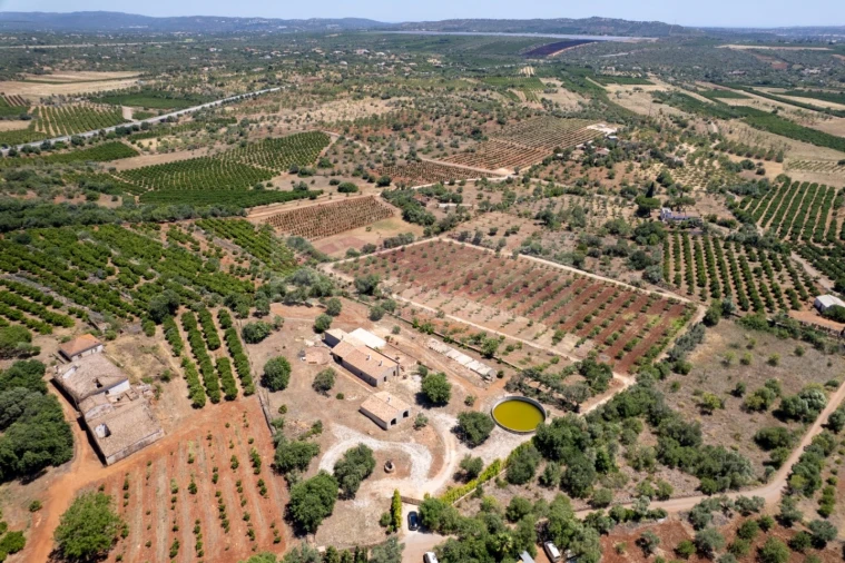 Quinta T5 para Venda em São Bartolomeu de Messines Foto 8