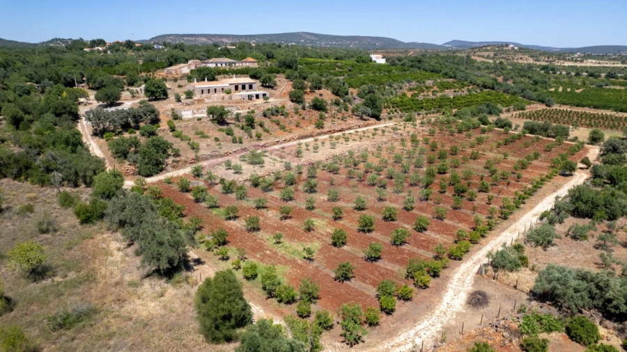 Quinta T5 para Venda em São Bartolomeu de Messines