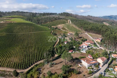 Terreno para Venda em Vila Cova da Lixa e Borba de Godim