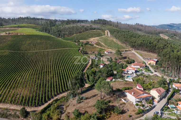 Terreno para Venda em Vila Cova da Lixa e Borba de Godim Foto 8