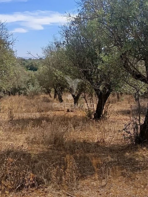Terreno para Venda em Nossa Senhora da Conceição e São Bartolomeu