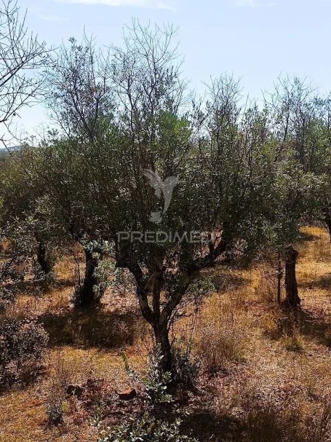 Terreno para Venda em Nossa Senhora da Conceição e São Bartolomeu
