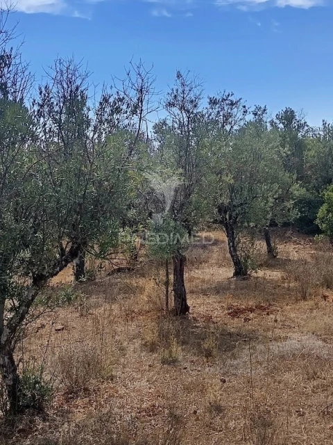 Terreno para Venda em Nossa Senhora da Conceição e São Bartolomeu