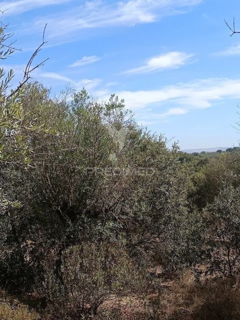 Terreno para Venda em Nossa Senhora da Conceição e São Bartolomeu