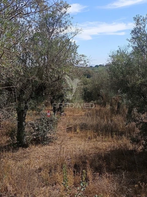 Terreno para Venda em Nossa Senhora da Conceição e São Bartolomeu