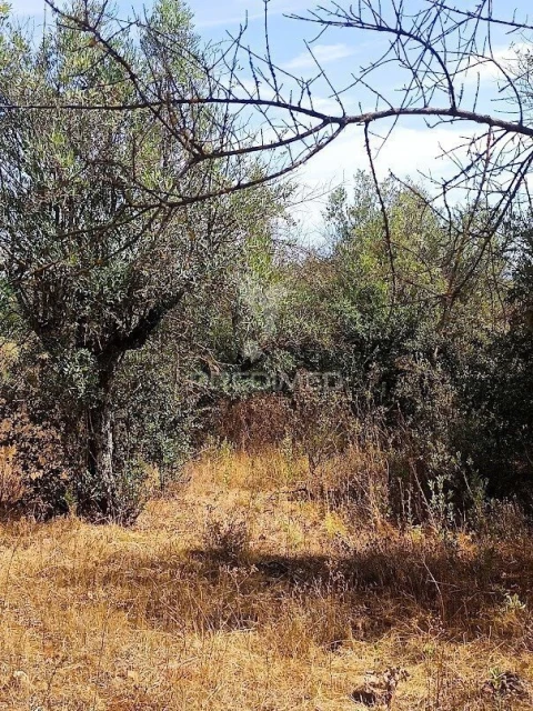 Terreno para Venda em Nossa Senhora da Conceição e São Bartolomeu