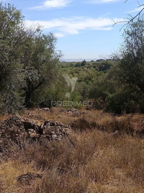 Terreno para Venda em Nossa Senhora da Conceição e São Bartolomeu