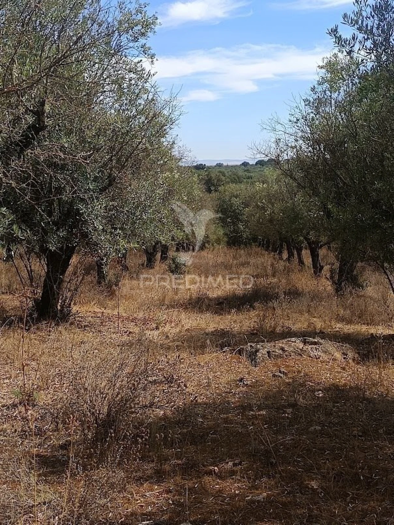 Terreno para Venda em Nossa Senhora da Conceição e São Bartolomeu Foto 28