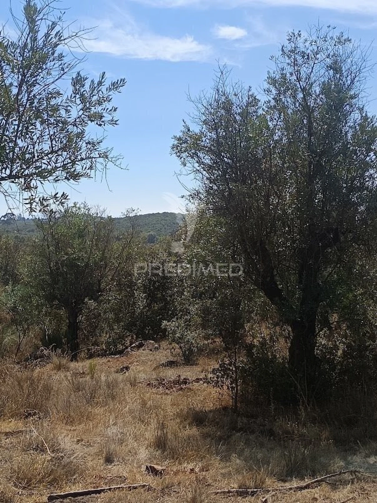 Terreno para Venda em Nossa Senhora da Conceição e São Bartolomeu Foto 13