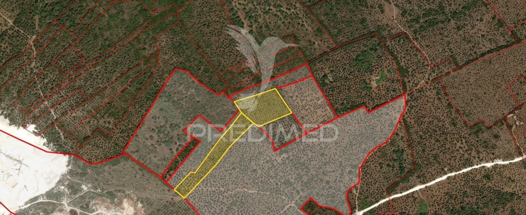 Terreno para Venda em Nossa Senhora da Conceição e São Bartolomeu Foto 5