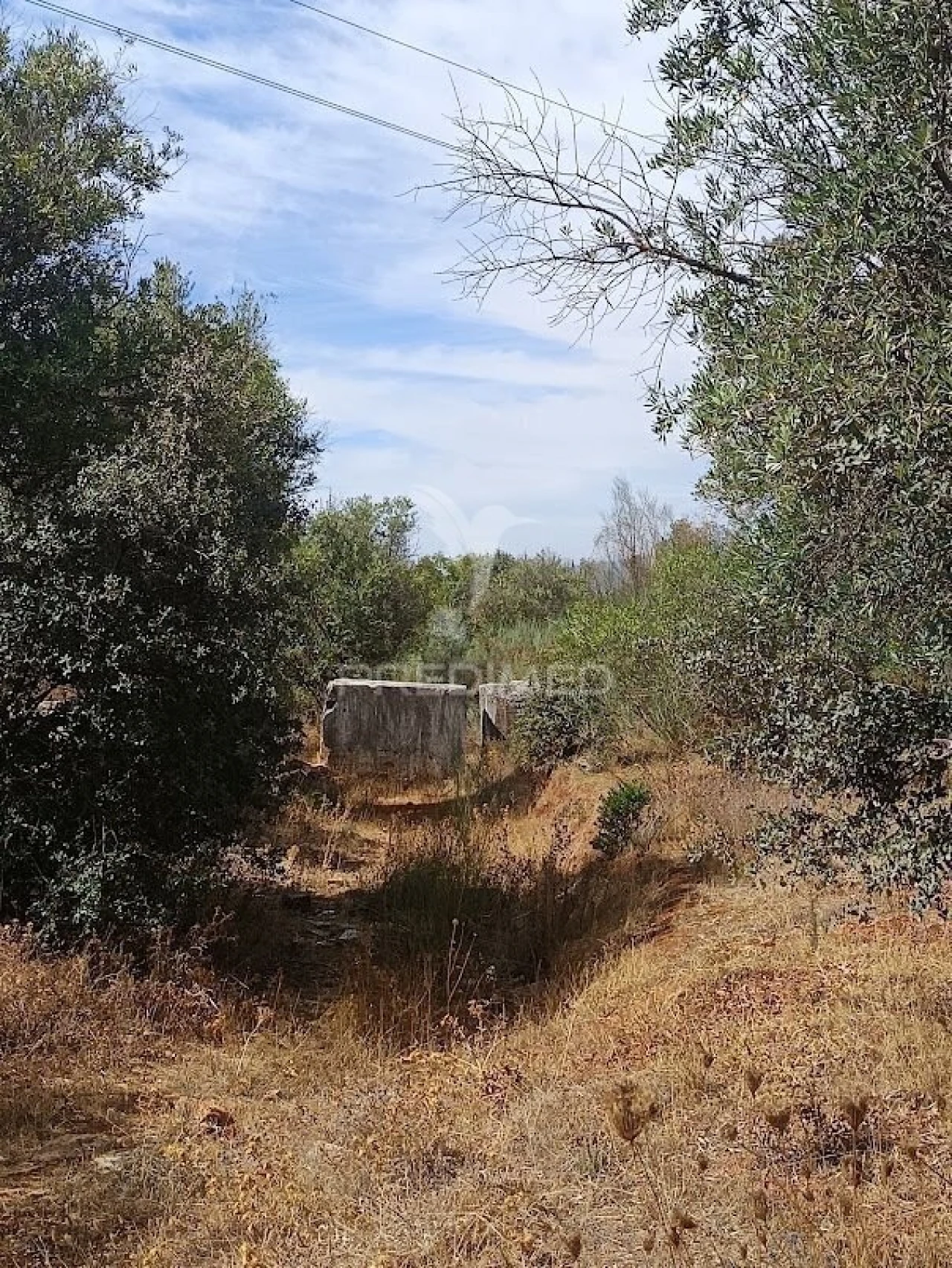 Terreno para Venda em Nossa Senhora da Conceição e São Bartolomeu Foto 6