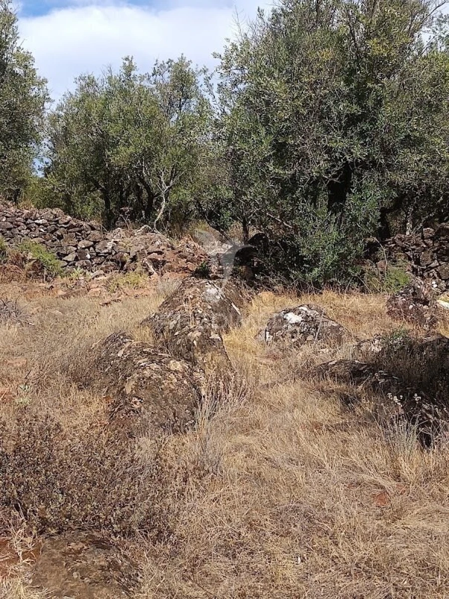 Terreno para Venda em Nossa Senhora da Conceição e São Bartolomeu Foto 12