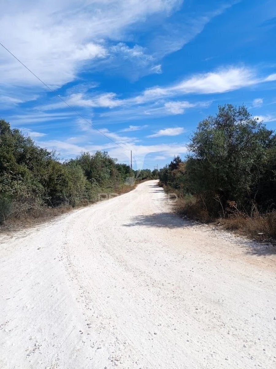 Terreno para Venda em Nossa Senhora da Conceição e São Bartolomeu Foto 27
