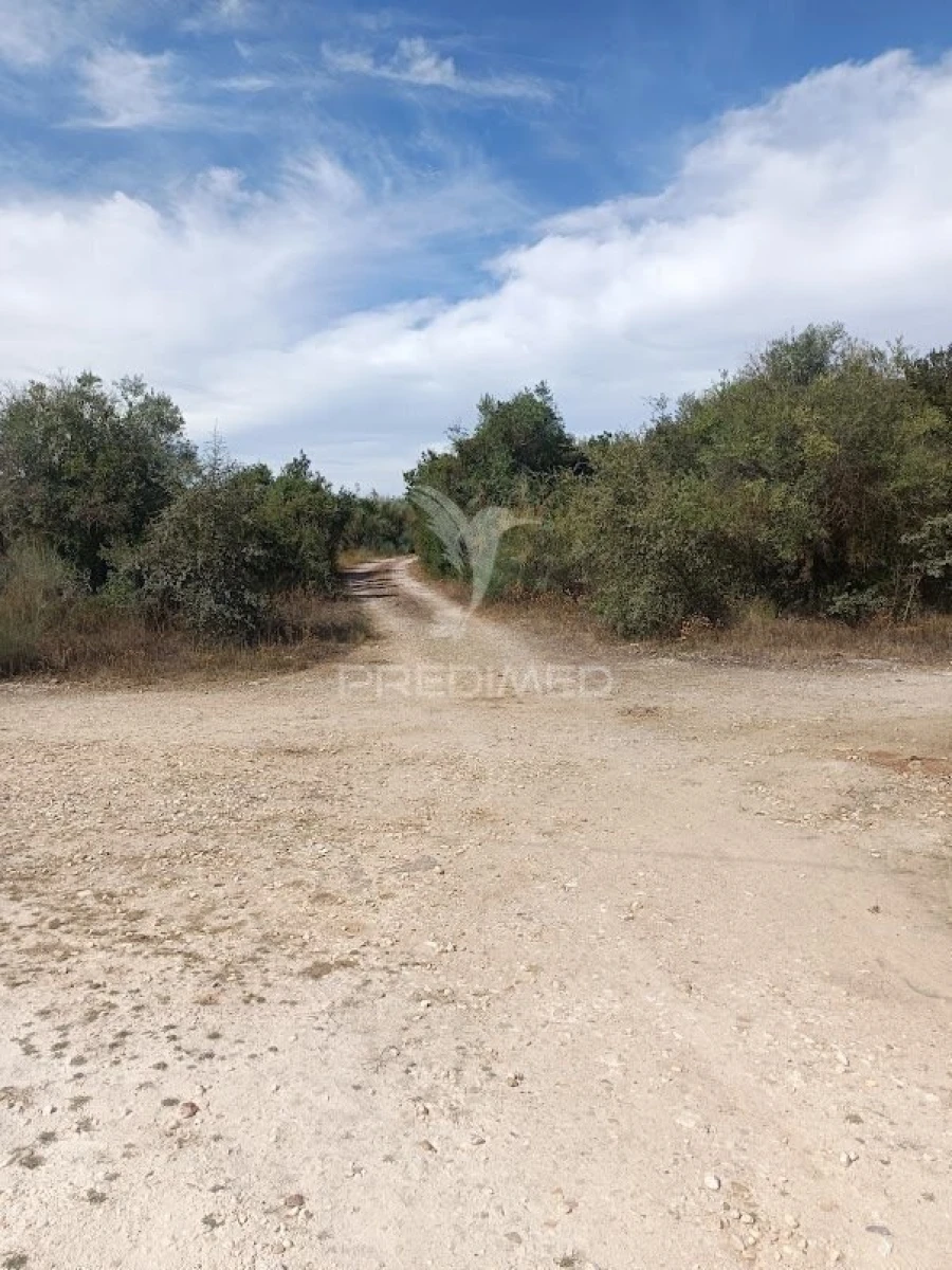 Terreno para Venda em Nossa Senhora da Conceição e São Bartolomeu Foto 4