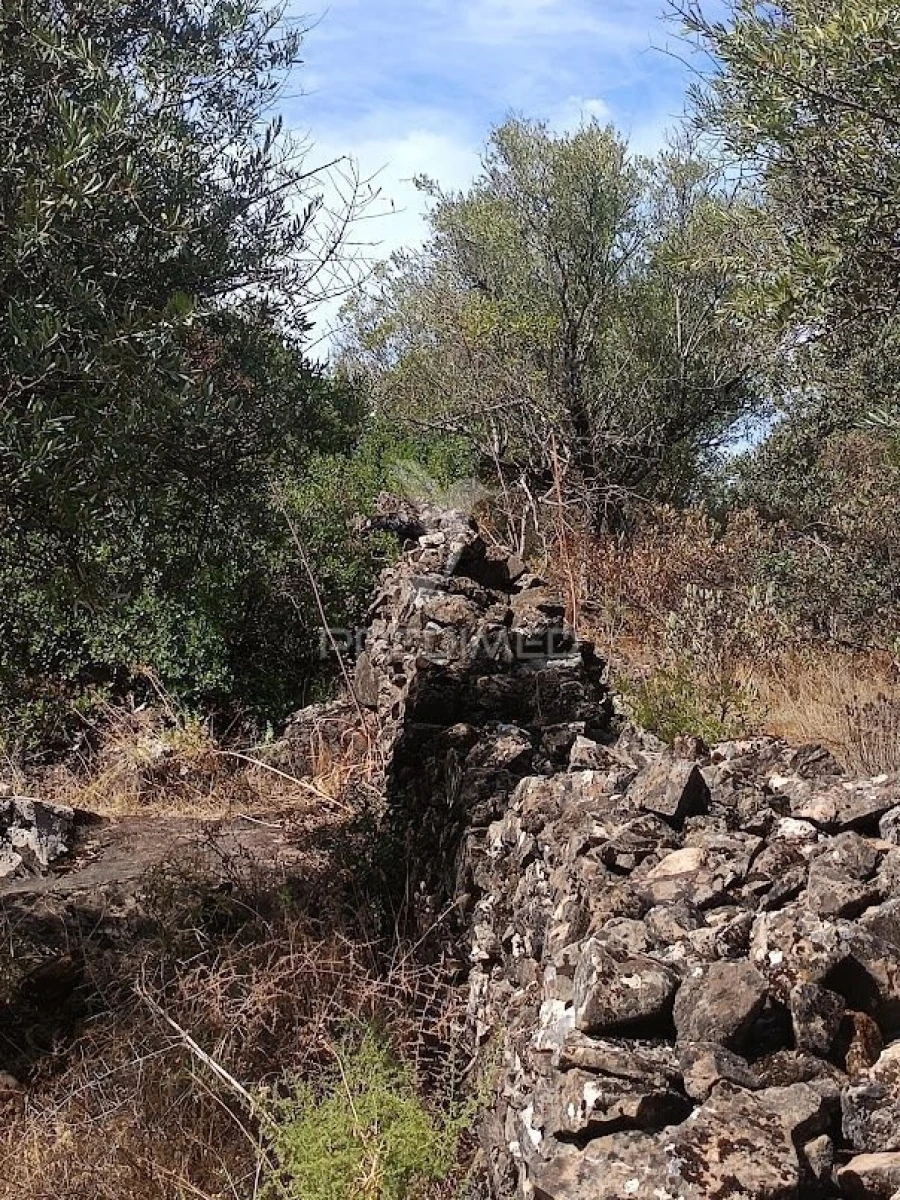 Terreno para Venda em Nossa Senhora da Conceição e São Bartolomeu Foto 7