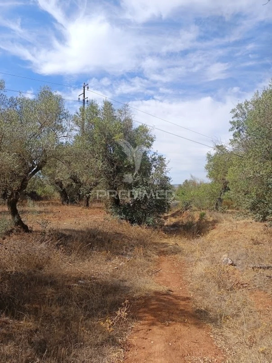 Terreno para Venda em Nossa Senhora da Conceição e São Bartolomeu Foto 2