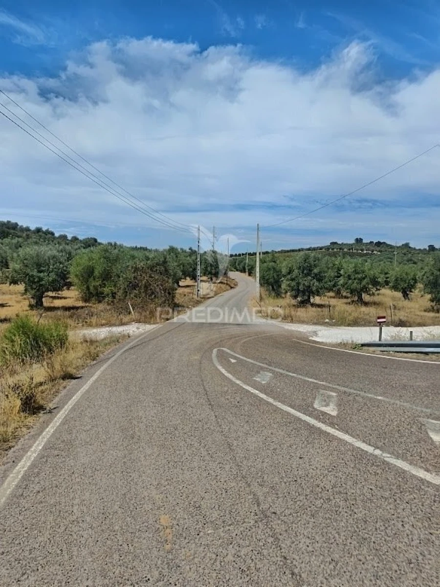 Terreno para Venda em Nossa Senhora da Conceição e São Bartolomeu Foto 19