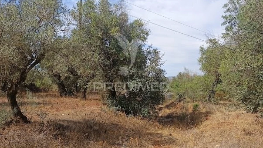 Terreno para Venda em Nossa Senhora da Conceição e São Bartolomeu