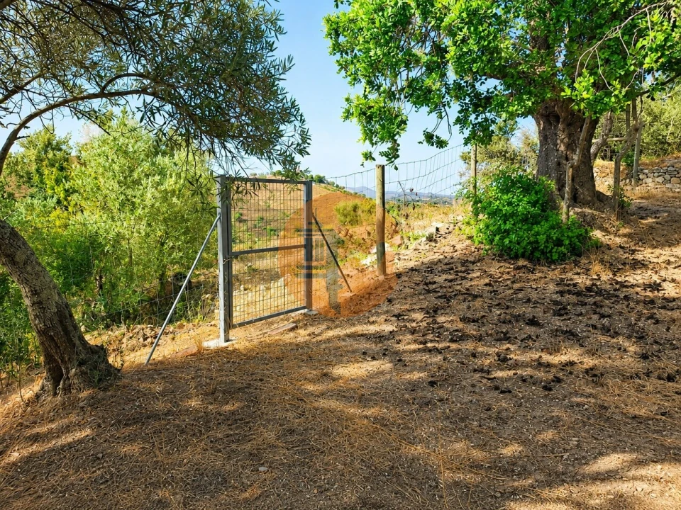 Moradia T4 para Venda em São Brás de Alportel Foto 9