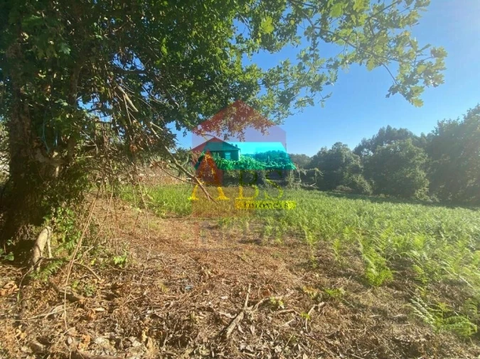 Terreno para Venda em Aboim da Nóbrega e Gondomar Foto 24