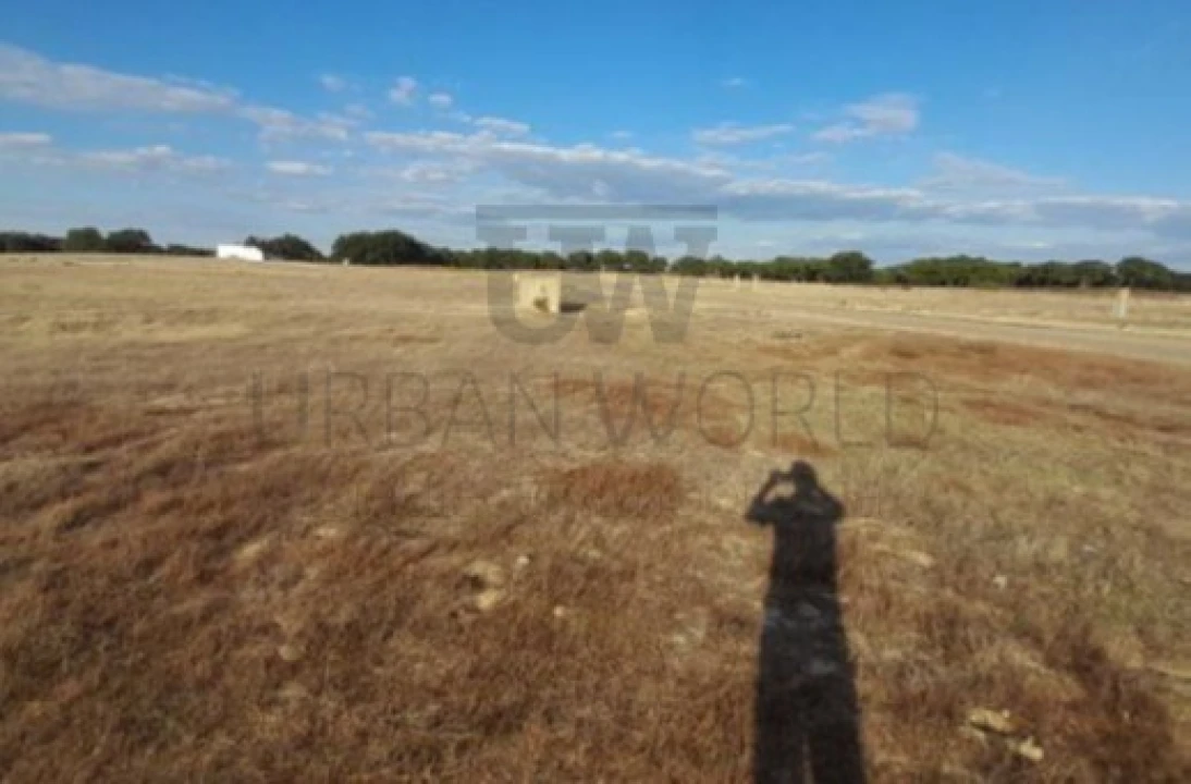 Terreno Comércio / Armazém para Venda em Poceirão e Marateca Foto 2