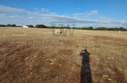 Terreno Comércio / Armazém para Venda em Poceirão e Marateca