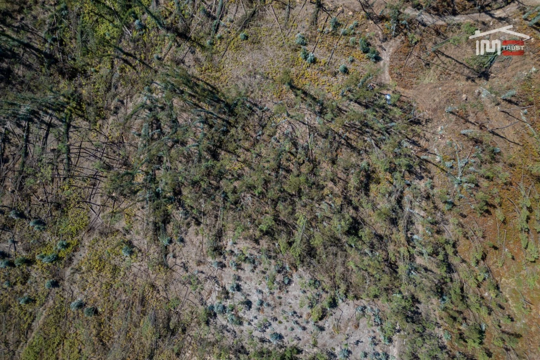 Terreno Agricola ou Rústico para Venda em Caranguejeira Foto 14
