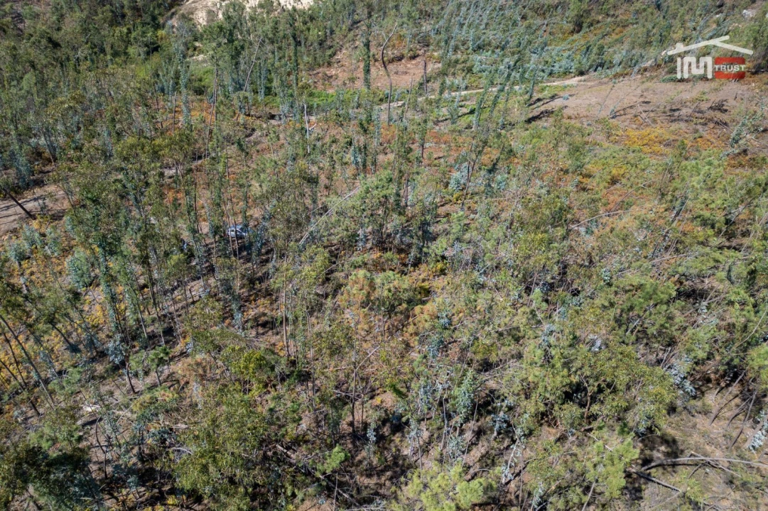 Terreno Agricola ou Rústico para Venda em Caranguejeira Foto 17