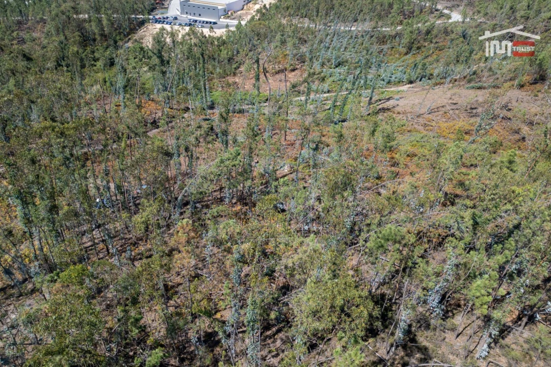 Terreno Agricola ou Rústico para Venda em Caranguejeira Foto 19