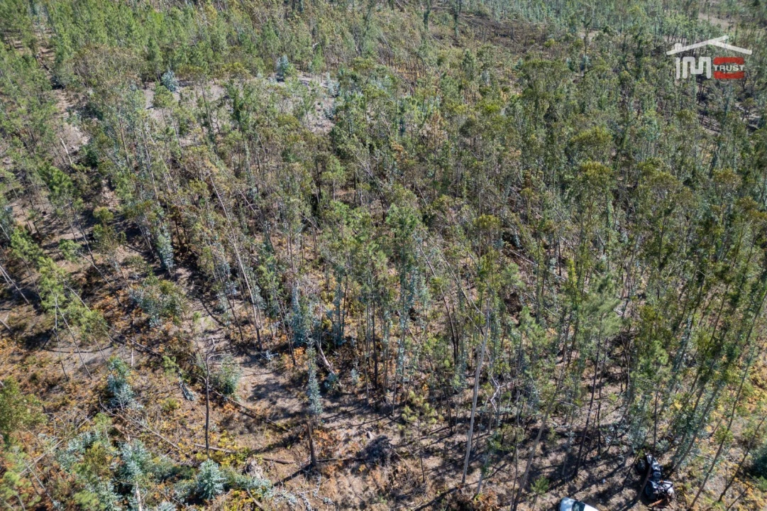 Terreno Agricola ou Rústico para Venda em Caranguejeira Foto 20