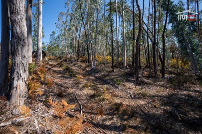 Terreno Agricola ou Rústico para Venda em Caranguejeira