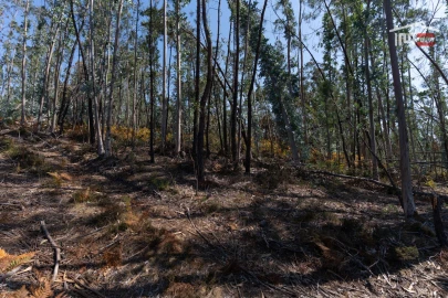 Terreno Agricola ou Rústico para Venda em Caranguejeira