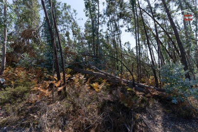 Terreno Agricola ou Rústico para Venda em Caranguejeira