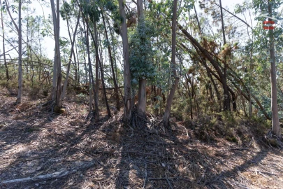 Terreno Agricola ou Rústico para Venda em Caranguejeira