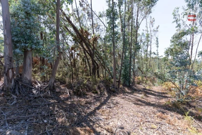 Terreno Agricola ou Rústico para Venda em Caranguejeira