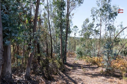 Terreno Agricola ou Rústico para Venda em Caranguejeira