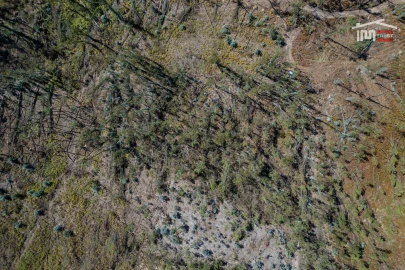 Terreno Agricola ou Rústico para Venda em Caranguejeira