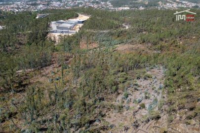 Terreno Agricola ou Rústico para Venda em Caranguejeira