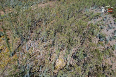 Terreno Agricola ou Rústico para Venda em Caranguejeira