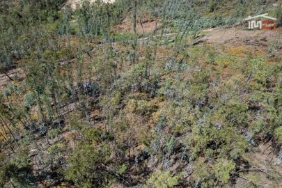 Terreno Agricola ou Rústico para Venda em Caranguejeira