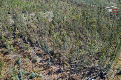 Terreno Agricola ou Rústico para Venda em Caranguejeira