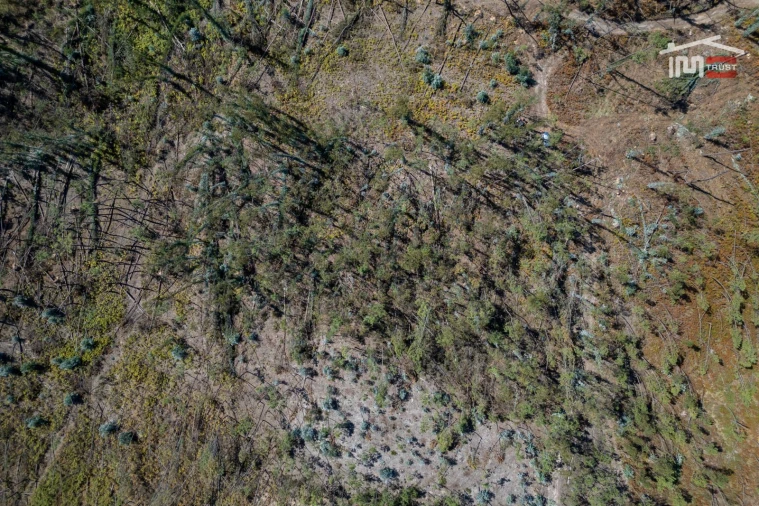 Terreno Agricola ou Rústico para Venda em Caranguejeira Foto 14