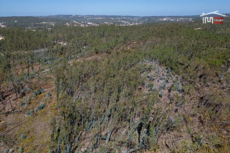 Terreno Agricola ou Rústico para Venda em Caranguejeira Foto 16