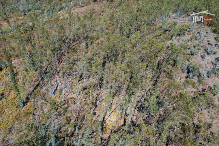 Terreno Agricola ou Rústico para Venda em Caranguejeira Foto 18