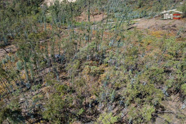Terreno Agricola ou Rústico para Venda em Caranguejeira Foto 17