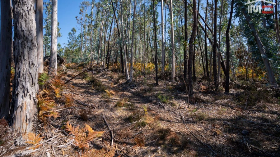 Terreno Agricola ou Rústico para Venda em Caranguejeira