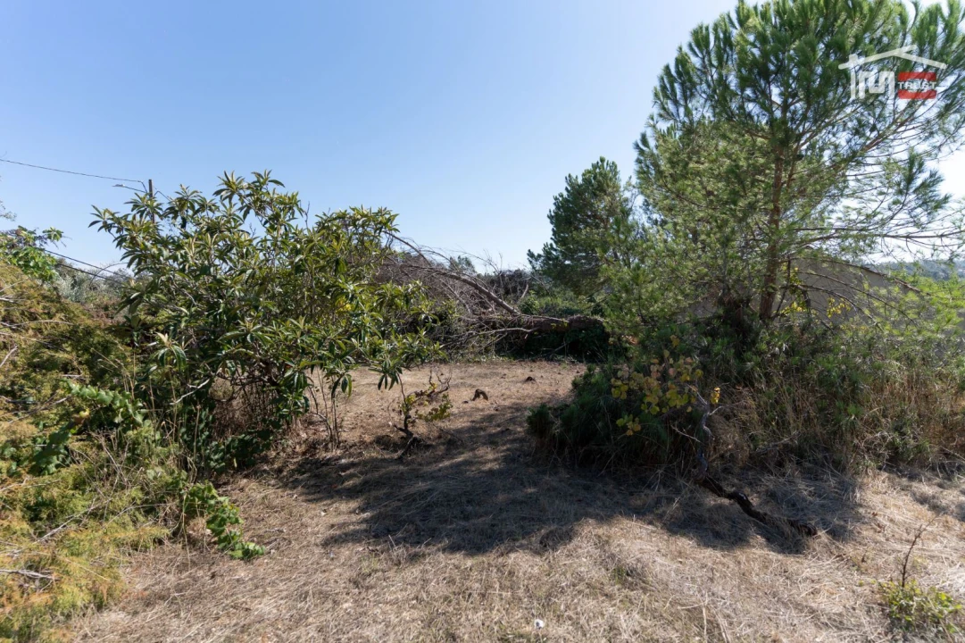 Terreno Agricola ou Rústico para Venda em Gondemaria e Olival Foto 5