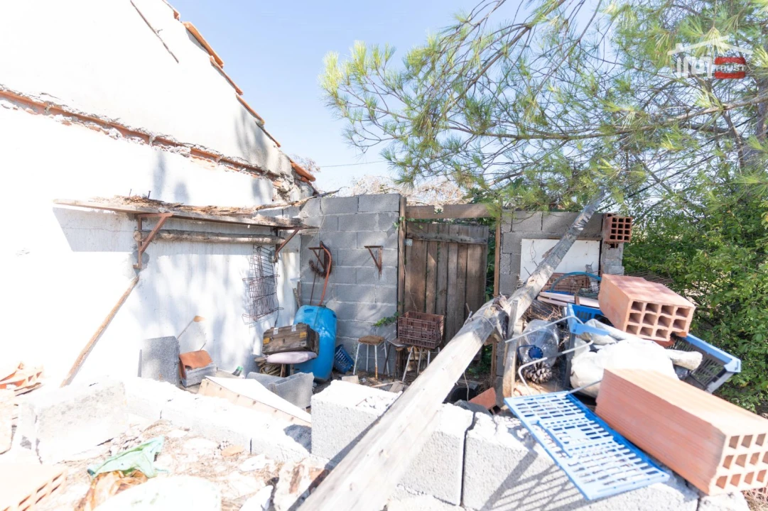 Terreno Agricola ou Rústico para Venda em Gondemaria e Olival Foto 11